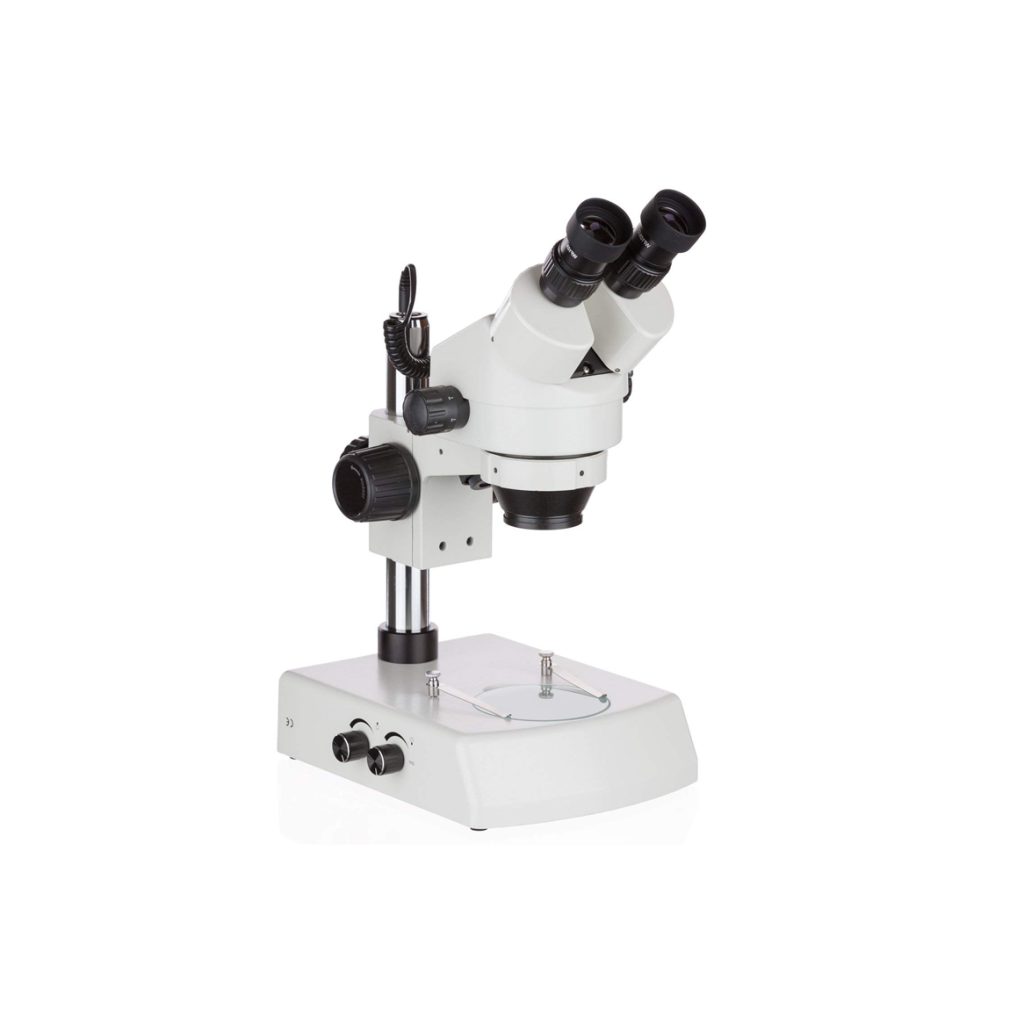 Microscope